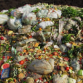Reducing Waste and Pollution in Central Missouri: Strategies Used by Environmental Groups