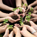 Central Missouri's Environmental Group Paving The Way For A Greener Tomorrow