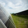 Using Technology to Advance Environmental Groups in Central Missouri