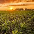 Measuring the Impact of Environmental Groups in Central Missouri