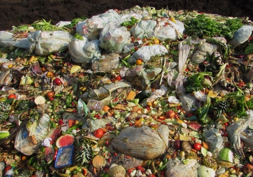 Reducing Waste and Pollution in Central Missouri: Strategies Used by Environmental Groups