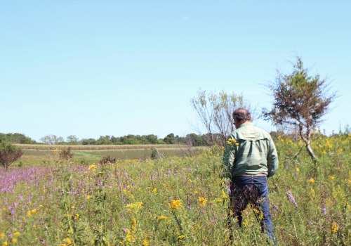 Environmental Initiatives in Central Missouri: Connecting People to Urban Natural Resources