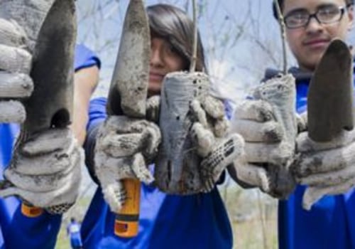 Make a Difference in Central Missouri: Volunteer with Environmental Groups