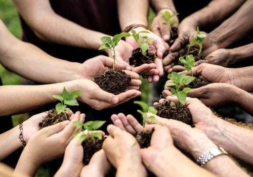 Central Missouri's Environmental Group Paving The Way For A Greener Tomorrow