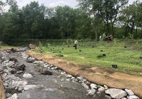 Exploring Environmental Research Projects in Central Missouri
