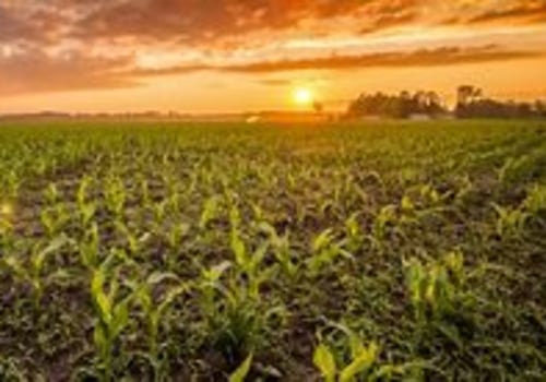Measuring the Impact of Environmental Groups in Central Missouri